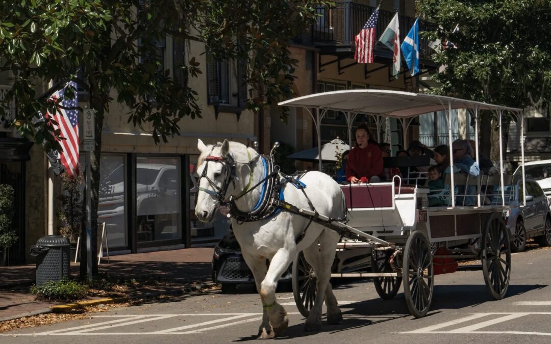 IMG_4180Discover the Charm of Savannah with a Horse-Drawn Carriage Tour