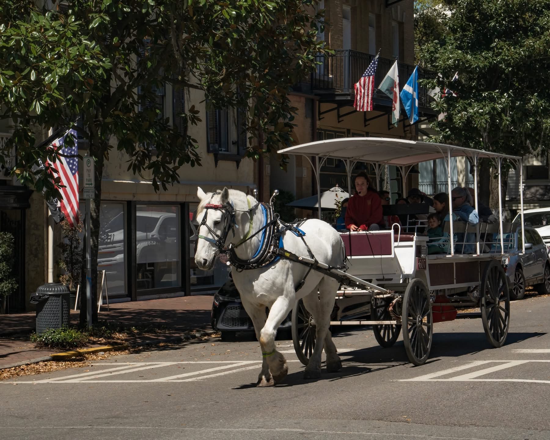 IMG_4180Discover the Charm of Savannah with a Horse-Drawn Carriage Tour