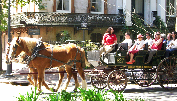 image35 Unforgettable Things to Do in Savannah (That Locals and Visitors Love)