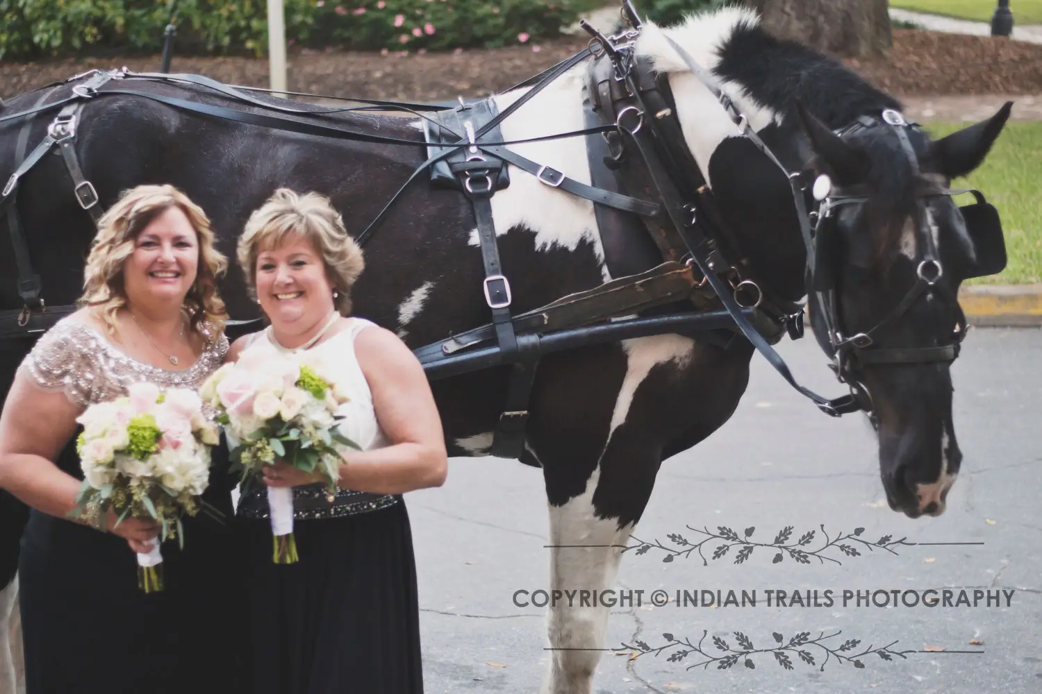 IMG_1138WM.jpegWEDDINGS & SPECIAL EVENTS