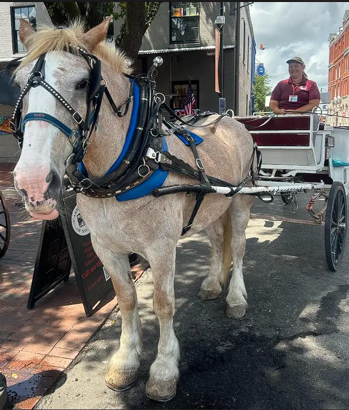 NpicWEDDINGS & SPECIAL EVENTS