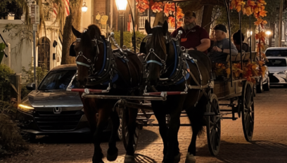 Evening Fall Public Carriage Ride